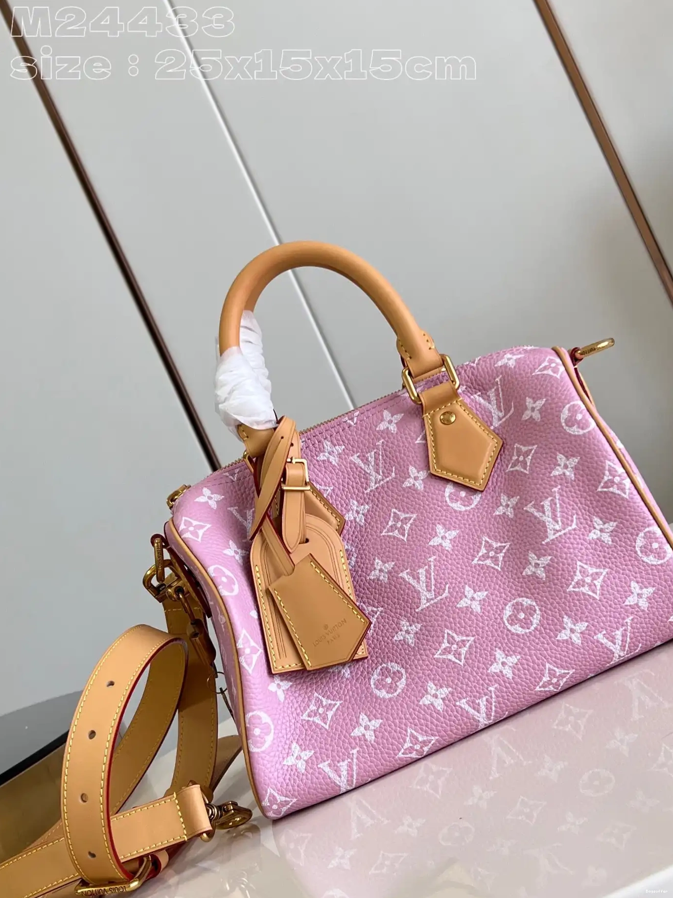 Bagsoffer SPEEDY Vuitton Louis 25 0210