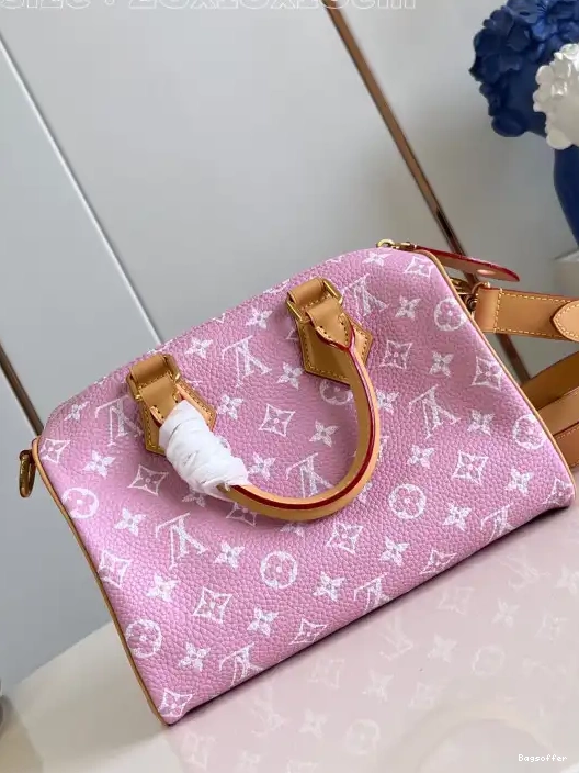 Bagsoffer SPEEDY Vuitton Louis 25 0210